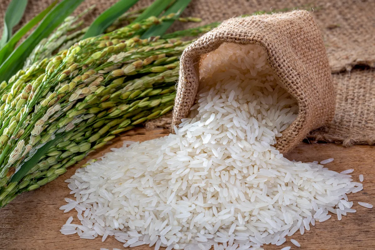 Rice Calories A Healthy Eating Guide