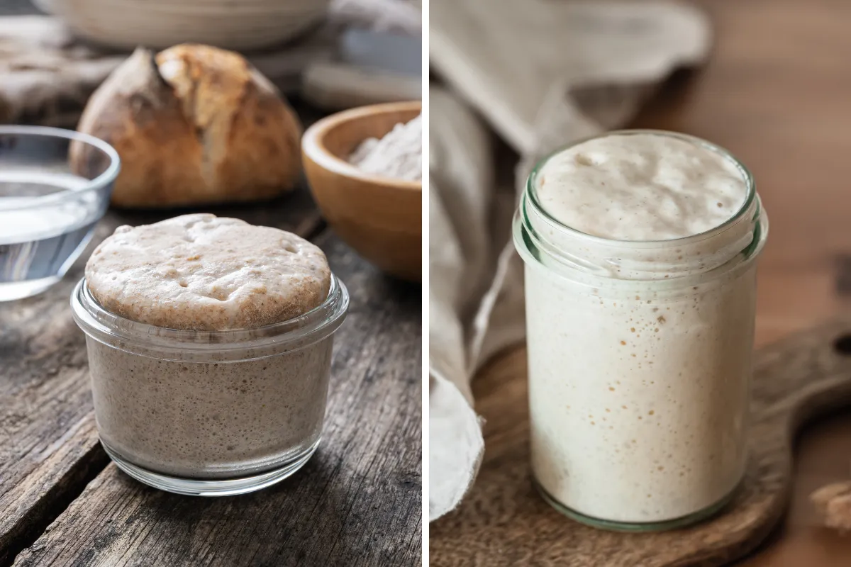 What Is The Difference Between Sourdough Starter And Discard