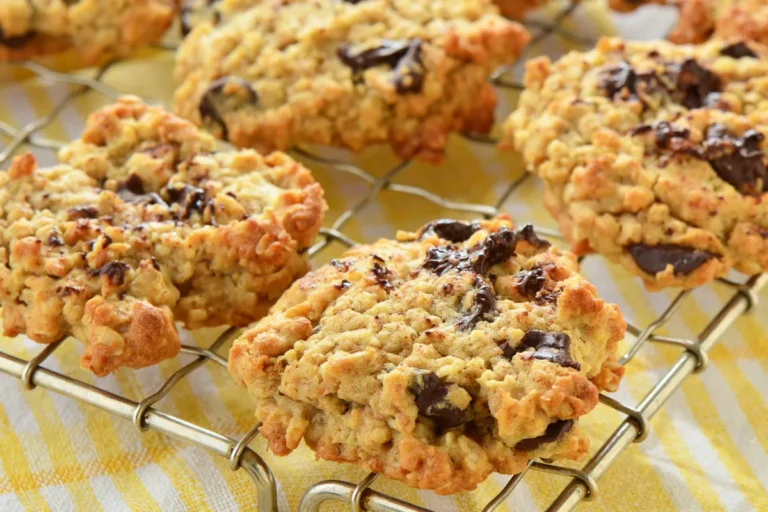 Potbelly Oatmeal Chocolate Chip Cookie Recipe