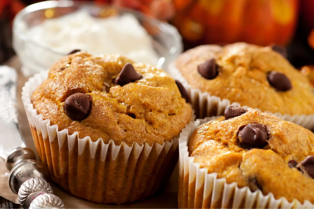 Pumpkin Chocolate Chip Muffins Recipe Guide